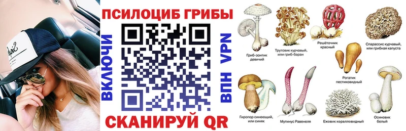 OMG ссылки  Горно-Алтайск  Псилоцибиновые грибы Psilocybe 