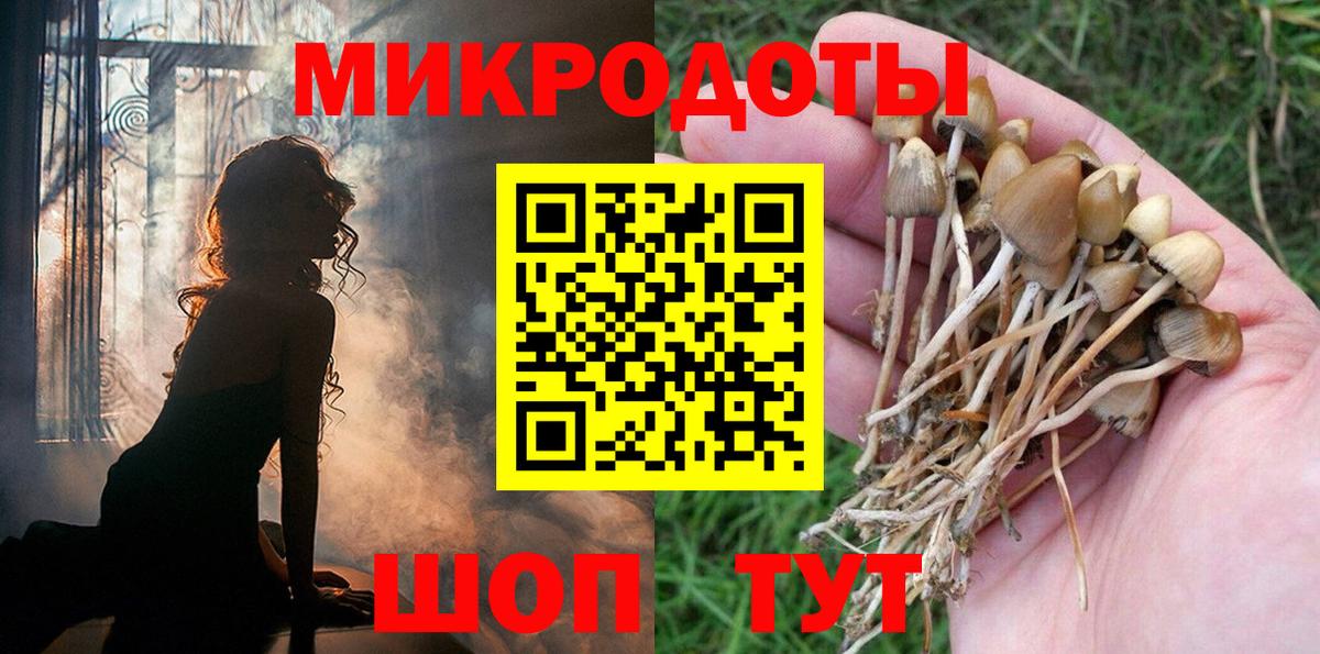 Горно-Алтайск  Галлюциногенные грибы GOLDEN TEACHER  Псилоцибиновые грибы GOLDEN TEACHER  Вход с VPN 