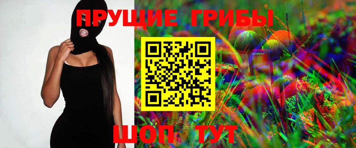 Псилоцибиновые грибы мицелий  купить  цена  Горно-Алтайск 