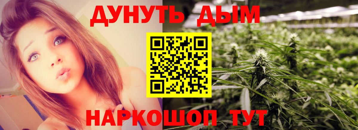 Шишки марихуана гибрид Горно-Алтайск